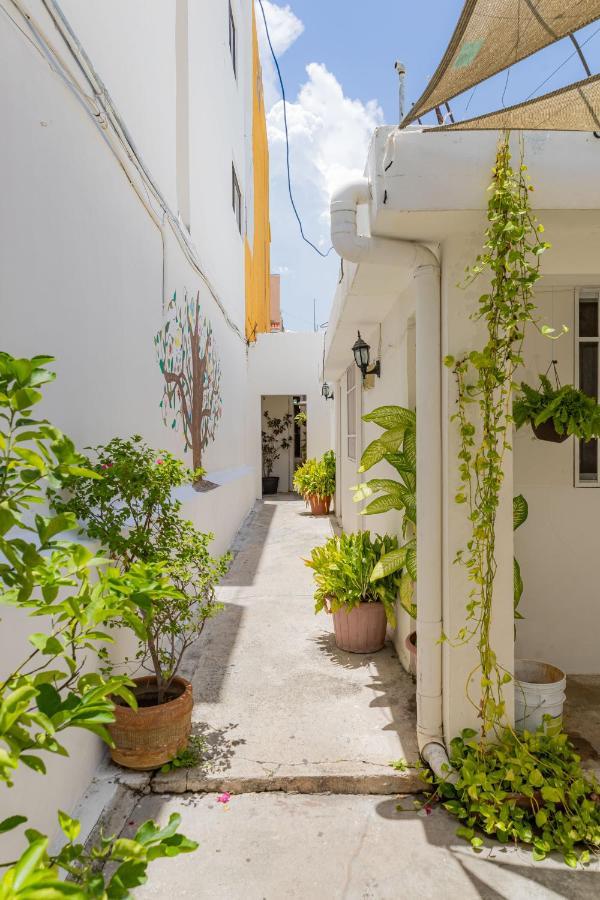 Hotel Las Palmas Cancun Centro Dış mekan fotoğraf
